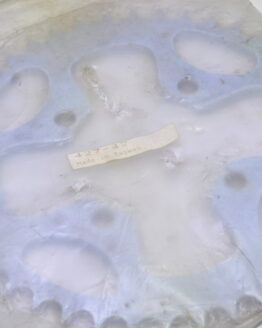 Vortex Rear Aluminum Sprocket 42T 530 Silver Fits 06-14 Kawasaki ZX14R