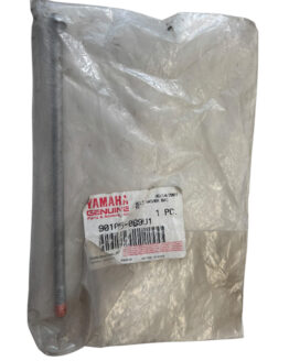 Yamaha Bolt, Washer Based (Disc) 90105-089U1-00