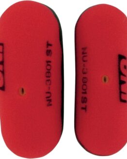 Reusable Foam Air Filter (2 In Pack)